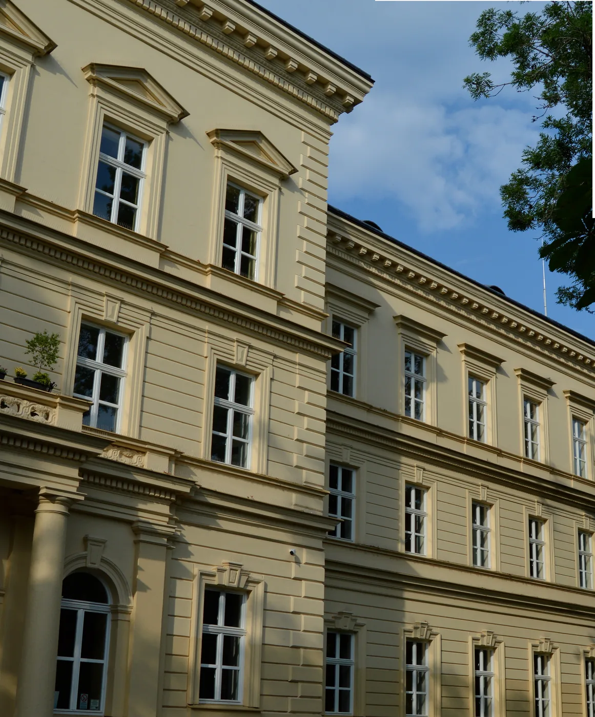 Průčelí historické školní budovy s vysokými okny a členitou fasádou, vedle koruna stromu.